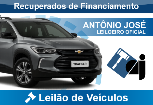 <center><big><b>LEILÃO de AUTOMÓVEIS</b></center> <center></big>Recuperados de Financiamento<br> </center>